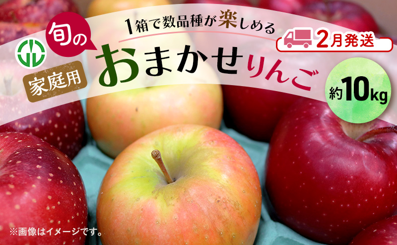 りんご 【 2月発送 】 家庭用 旬のりんご 品種おまかせ 約 10kg 2品種～5品種 果物類 フルーツ 林檎 リンゴ 鶴田町 青森県 おやつ デザート
