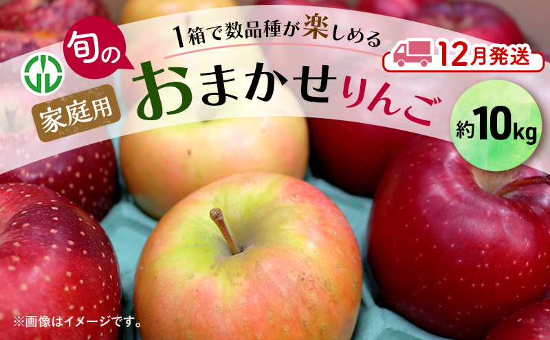 りんご 【 12月発送 】 家庭用 旬のりんご 品種おまかせ 約 10kg 2品種～5品種 果物類 フルーツ 林檎 リンゴ 鶴田町 青森県 おやつ デザート