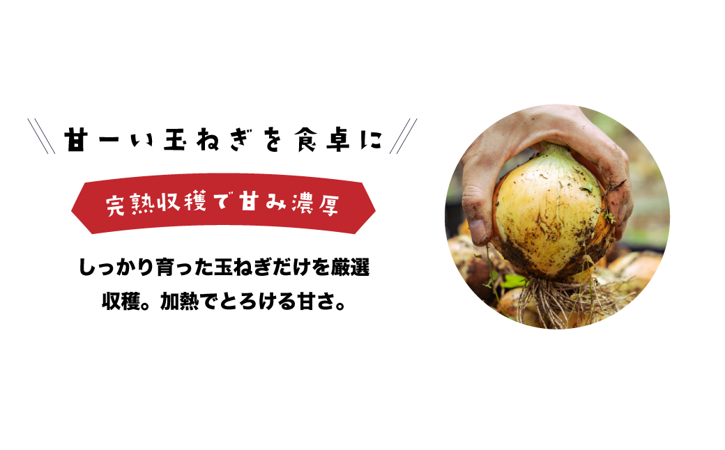 兵庫県淡路市のふるさと納税 健幸農園の完熟淡路島産玉ねぎ 5kg　　[たまねぎ 産地直送 玉葱]