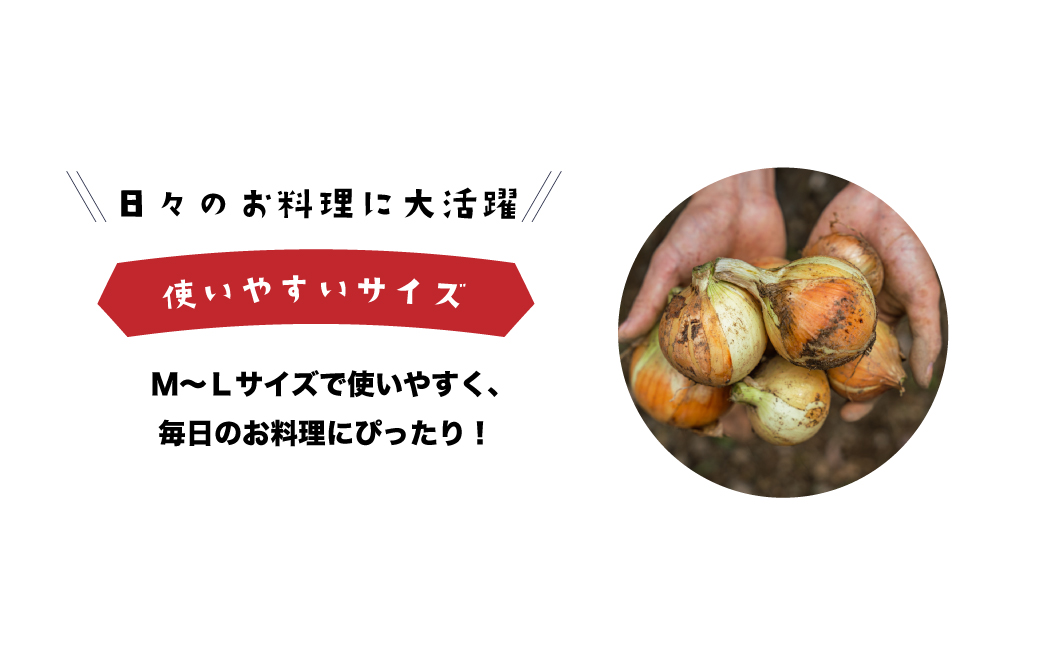 兵庫県淡路市のふるさと納税 健幸農園の完熟淡路島産玉ねぎ 5kg　　[たまねぎ 産地直送 玉葱]
