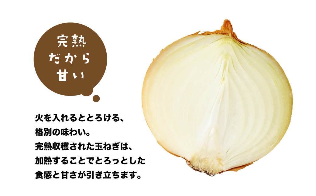 兵庫県淡路市のふるさと納税 健幸農園の完熟淡路島産玉ねぎ 5kg　　[たまねぎ 産地直送 玉葱]