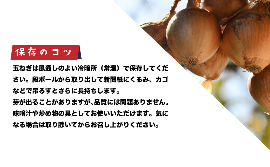 兵庫県淡路市のふるさと納税 健幸農園の完熟淡路島産玉ねぎ 5kg　　[たまねぎ 産地直送 玉葱]