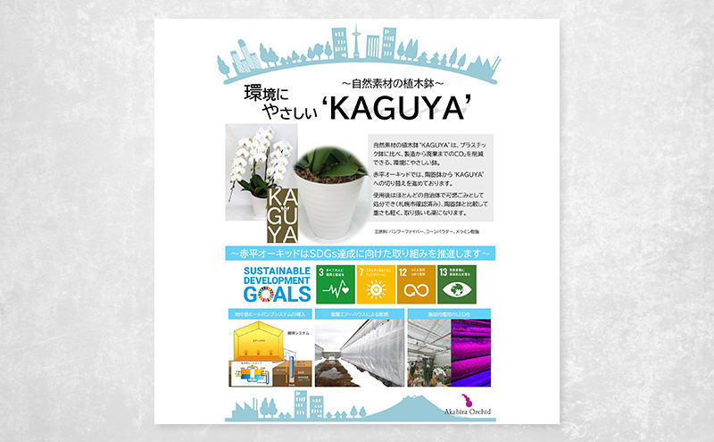 【選べるこだわり豪華ラッピング】赤平長持ち胡蝶蘭白花大輪3本立て (36輪以上) 胡蝶蘭 花 ギフト プレゼント お祝い 贈り物  インテリア 植物