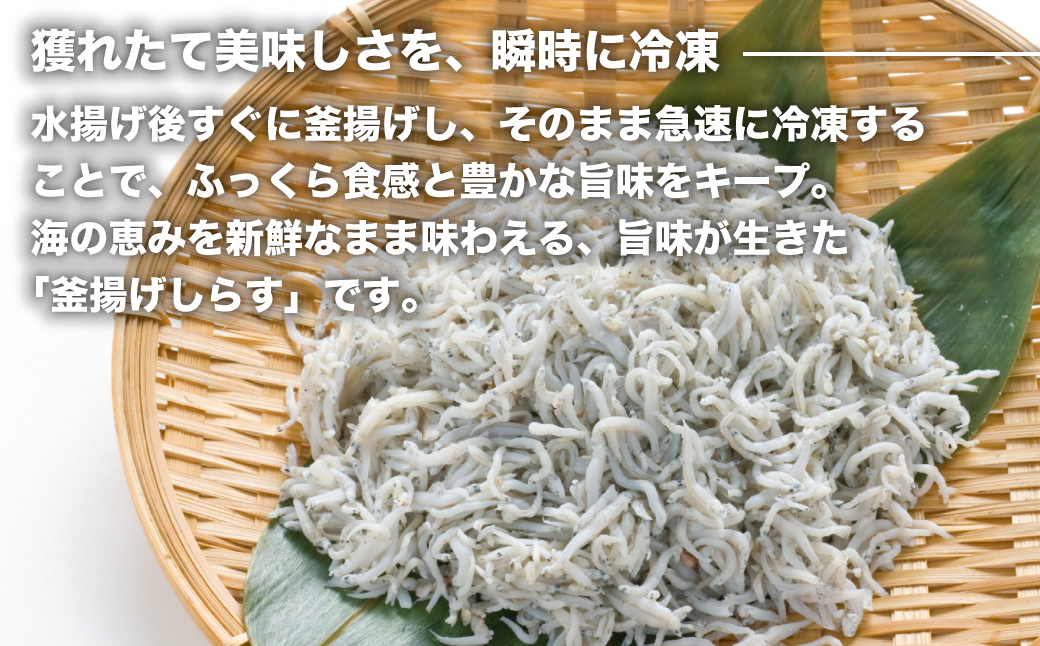 淡路島シラスの釜揚げ 100ｇ8袋入り（800ｇ）　[釜揚げしらす]