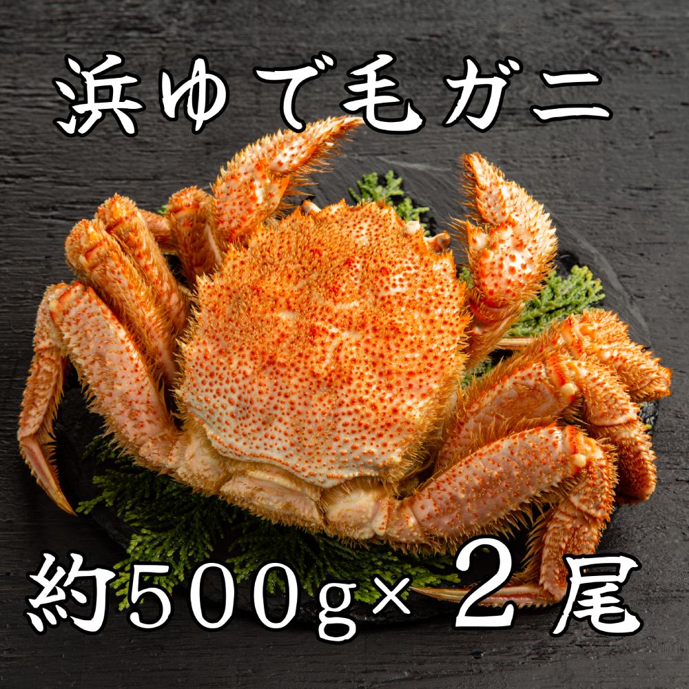 44-37 【年内配送12月15日入金まで】流氷明け浜ゆで毛ガニ約500g×2尾 within2025