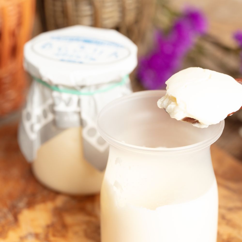 9-15 【年内配送12月8日入金まで】濃厚な白いぷりん（６個） within2025