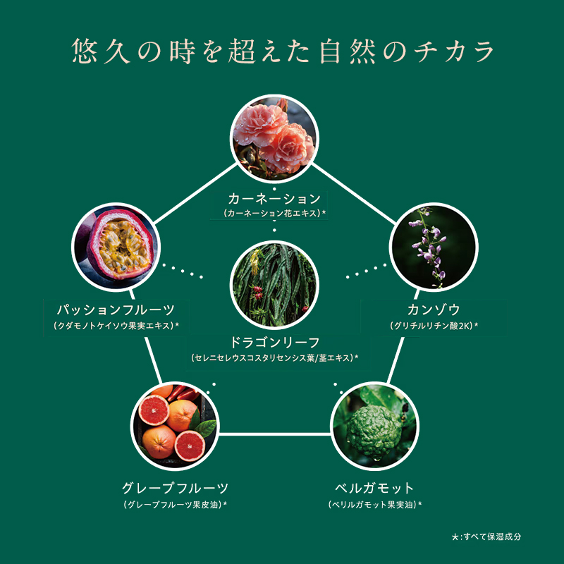 自然の恵みと美容の知恵で、肌の未来を育む Natereonフェイスマスク　5箱(計25枚)　個別包装　フェイスパック シートマスク パック 美容 保湿 エイジングケア ハリ うるおい 敏感肌 日本製