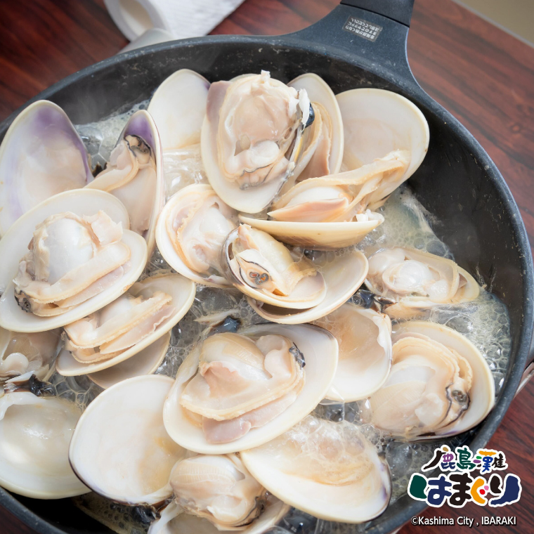 鹿島灘はまぐり【ハマグリ 蛤 海鮮 貝 魚貝 鹿嶋市 茨城県 20000円以内 2万円以内）（KM-2）