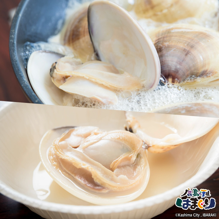 日本一の生産地　茨城県鹿島灘産はまぐり 18粒以上【ハマグリ 蛤 海鮮 魚貝 冷蔵 縁起物 酒蒸し お吸い物 鹿島灘 茨城県 鹿嶋市 35000円以内】（KM-16）