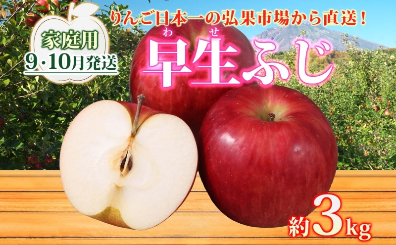【9月・10月発送】家庭用 早生ふじ 約3
