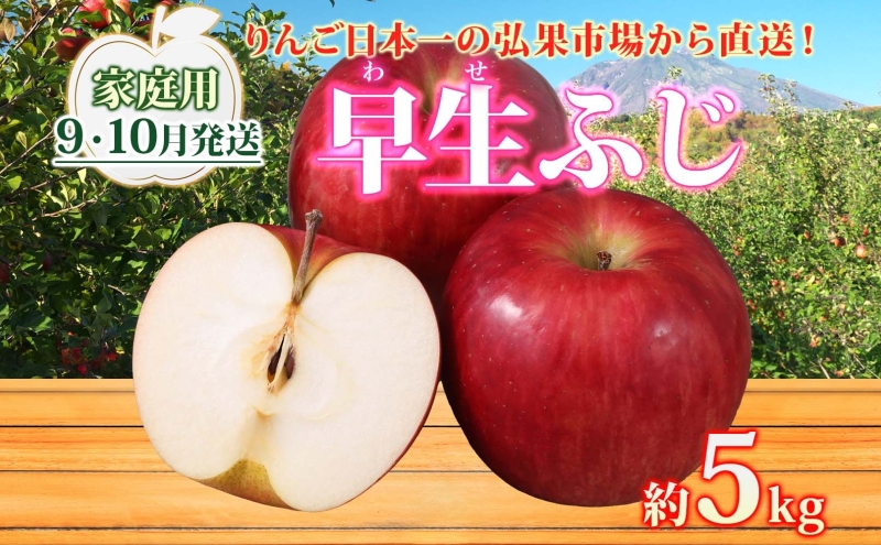 9月・10月発送】家庭用 早生ふじ 約5kg リンゴ 林檎 りんご 皮ごと