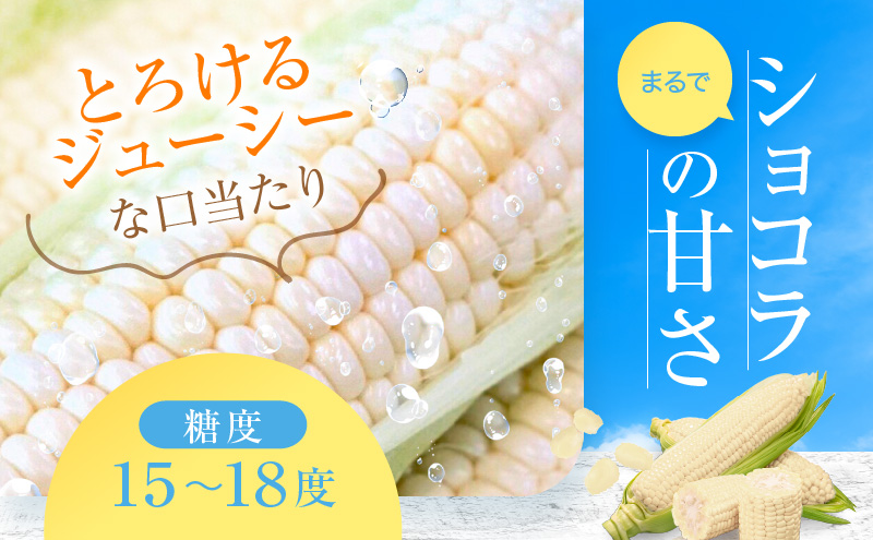 とうもろこしページ products_as0051_00-300x300.jpg