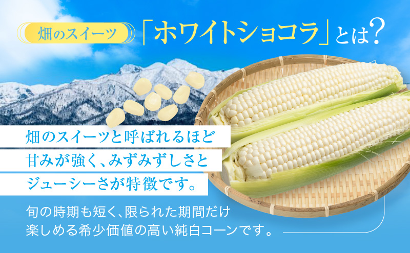 セゾン限定】【2025年7月中旬～発送】北海道 富良野産 ホワイト