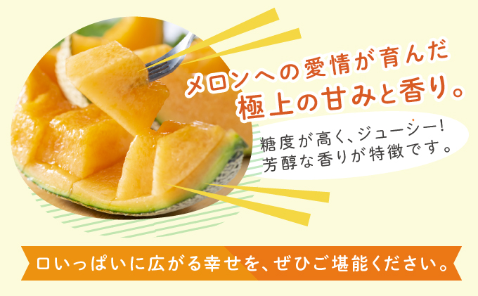 北海道富良野市のふるさと納税 【セゾン限定】【2025年6月下旬～発送】 ふらの 赤肉 メロン 2玉入 各2kg前後 北海道 富良野市 (相馬農園) メロン フルーツ 果物 新鮮 甘い 贈り物 ギフト 道産 ジューシー おやつ ふらの ブランド 夏