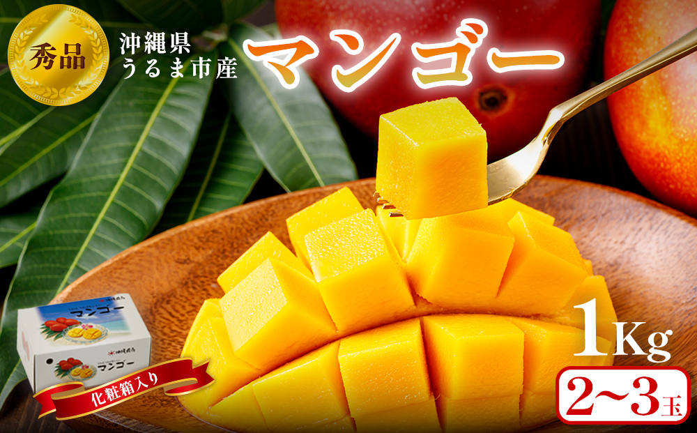 沖縄県 うるま市産 完熟 マンゴー 秀品 1kg【2026年発送】