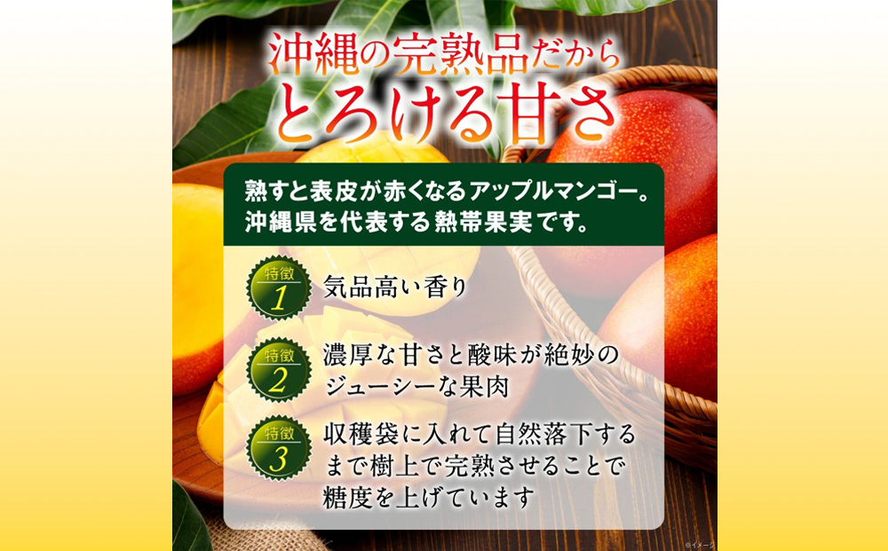 沖縄県 うるま市産 完熟 マンゴー 秀品 800g【2026年発送】