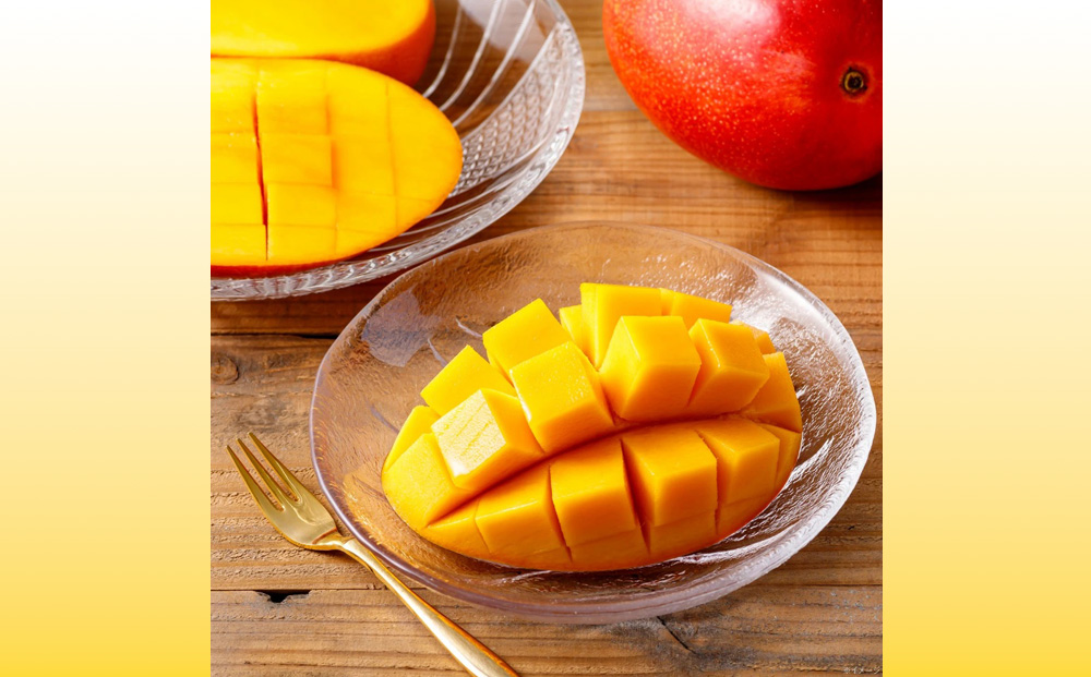 沖縄県 うるま市産 完熟 マンゴー 秀品 800g【2026年発送】