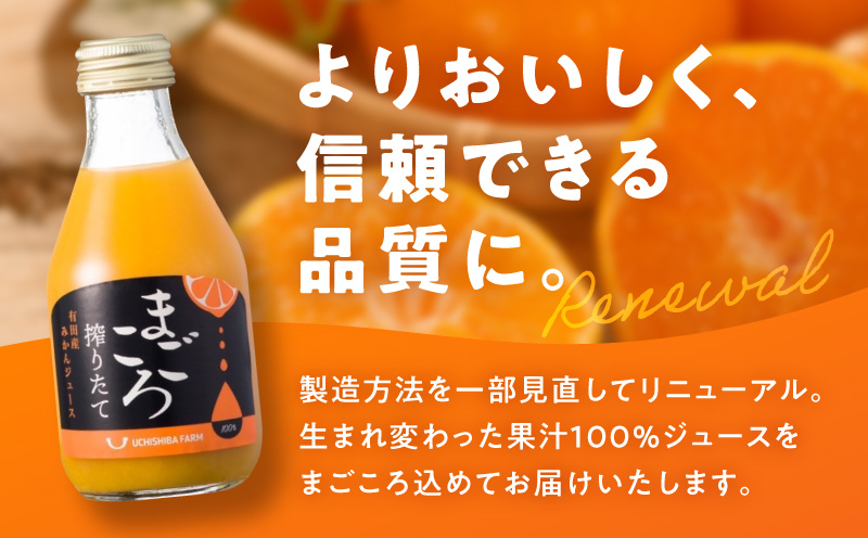 ZE6463_有田みかんジュース100％ 180ml×12本