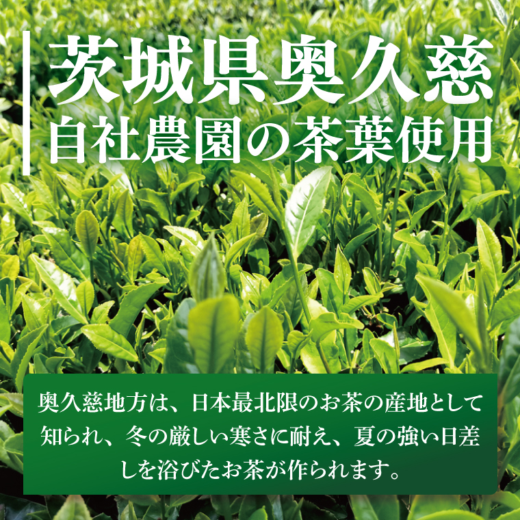 奥久慈和紅茶セット「ティーバッグ2袋」「リーフタイプ1袋」｜茨城県 大子町 紅茶 お茶 茶葉 飲料（BE006）