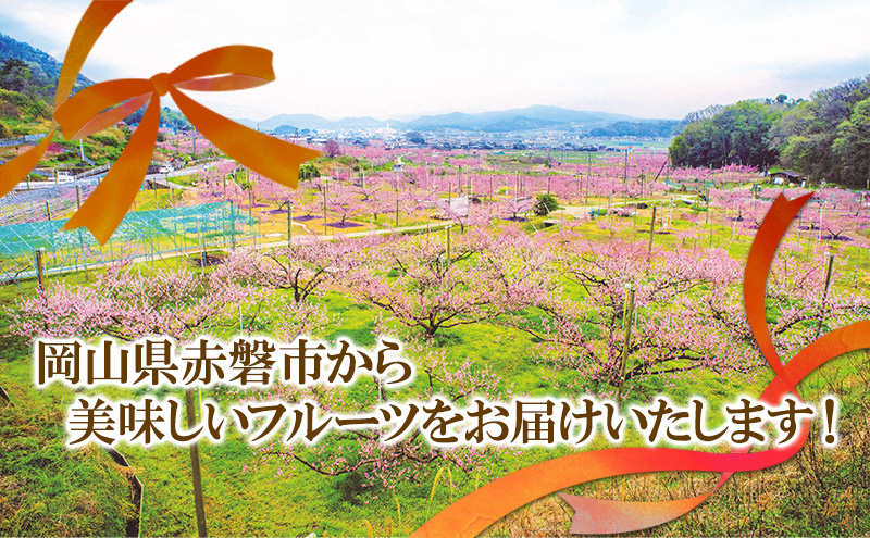 岡山県赤磐市のふるさと納税 梨 2025年 新高梨（にいたかなし）オリジナルギフト箱 5玉入り（約4kg）赤磐市赤坂産 なし フルーツ 果物