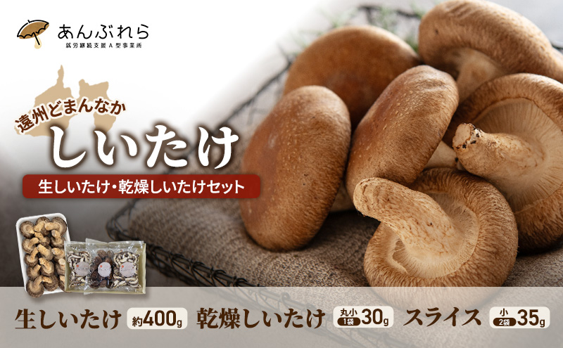 【遠州どまんなかしいたけ】 生しいたけ・乾燥しいたけセット (生しいたけ 約400g , 乾燥しいたけ　丸小 30g1袋 , スライス 小35g2袋)　干し椎茸 産地直送 国産 料理 素材 出汁 日本料理 就労支援 福祉 静岡 袋井