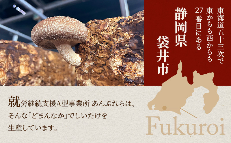 【遠州どまんなかしいたけ】 生しいたけ・乾燥しいたけセット (生しいたけ 約400g , 乾燥しいたけ　丸大 80g1袋 丸小 30g1袋 , スライス 小35g2袋)　干し椎茸 産地直送 国産 料理 素材 出汁 日本料理 就労支援 福祉 静岡 袋井