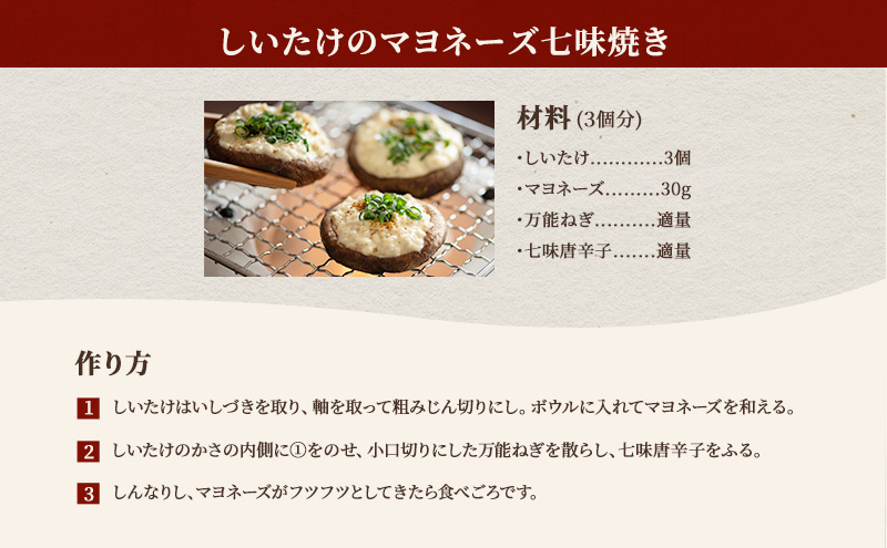 【遠州どまんなかしいたけ】 生しいたけ・乾燥しいたけセット (生しいたけ 約400g , 乾燥しいたけ　丸大 80g1袋 丸小 30g1袋 , スライス 小35g2袋)　干し椎茸 産地直送 国産 料理 素材 出汁 日本料理 就労支援 福祉 静岡 袋井