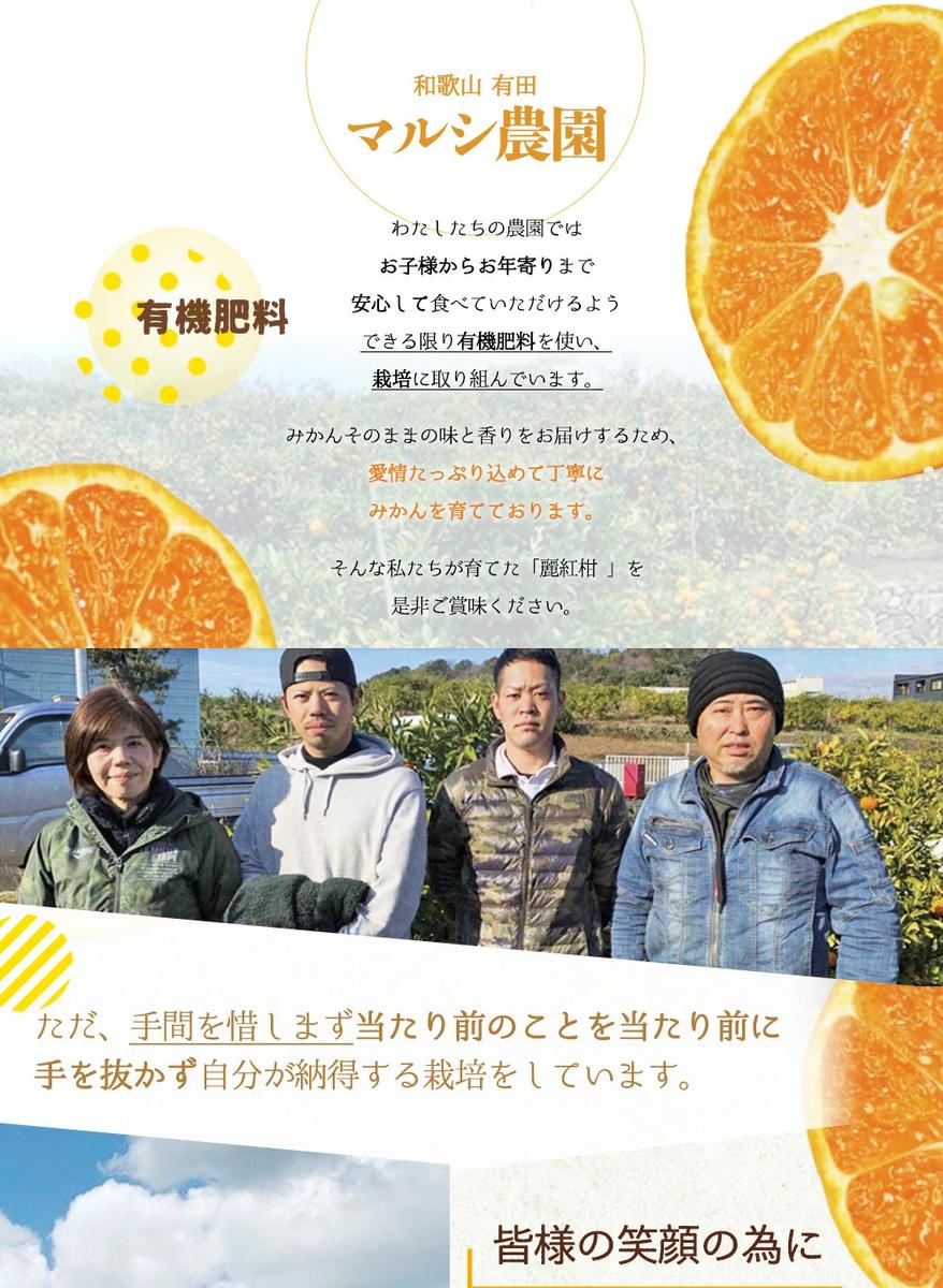 BF6062_（2026年先行受付）麗紅柑 (れいこう) 赤秀品 S～2Lサイズ 3kg 和歌山有田産