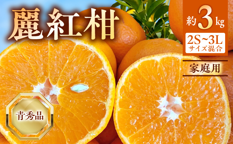 BF6063_（2026年先行受付）麗紅柑 (れいこう) 青秀品 (家庭用) 2S～3Lサイズ 3kg 和歌山有田産