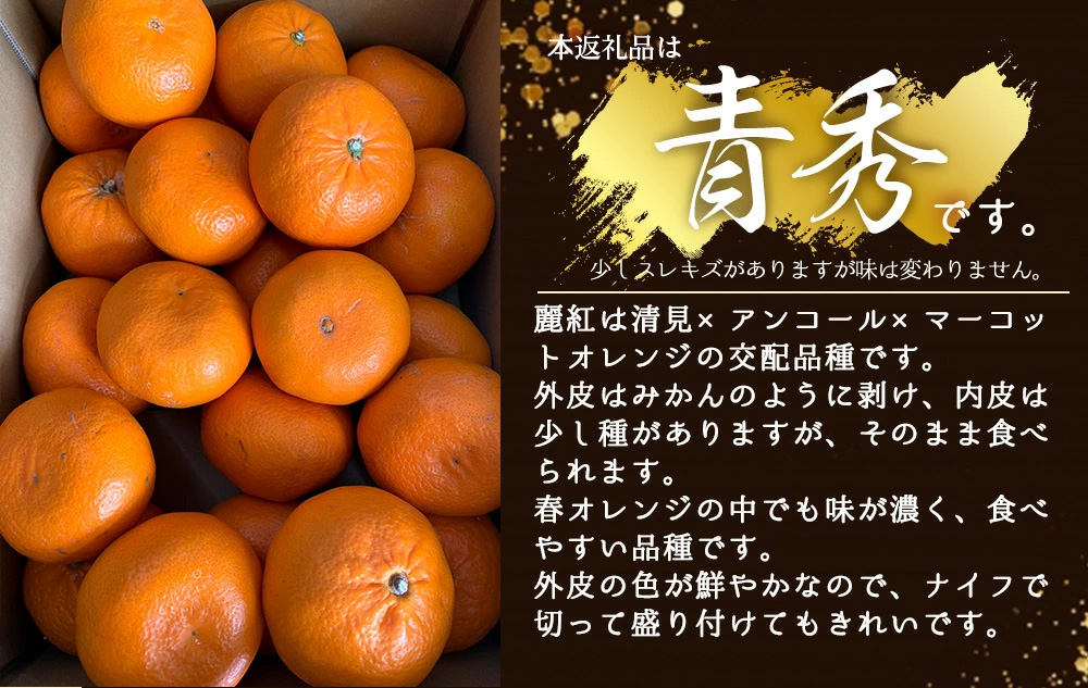 BF6063_（2026年先行受付）麗紅柑 (れいこう) 青秀品 (家庭用) 2S～3Lサイズ 3kg 和歌山有田産