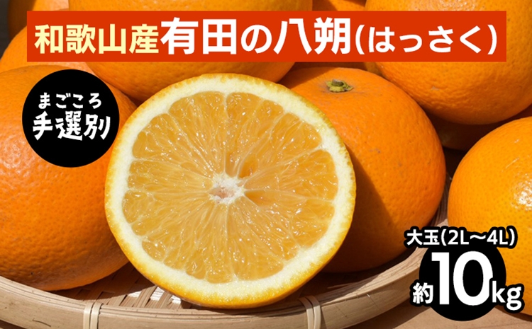 【和歌山県美浜町】【まごころ手選別】有田のはっさく【八朔】10kg大玉(2L〜4L) ※2026年1月上旬〜3月下旬頃に順次発送予定