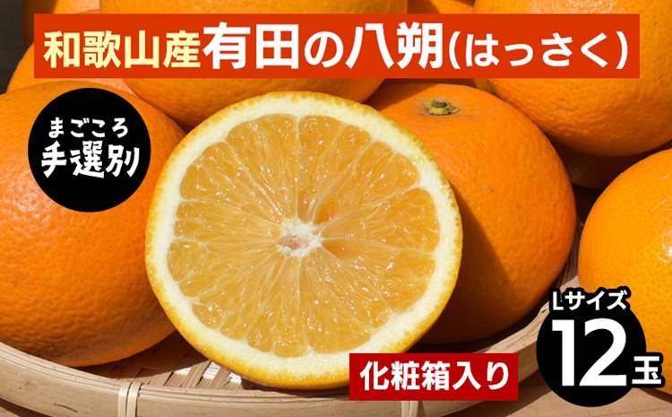 【まごころ手選別】和歌山産有田のはっさく　化粧箱　Lサイズ12個入り ※2026年1月上旬～3月下旬頃に順次発送予定