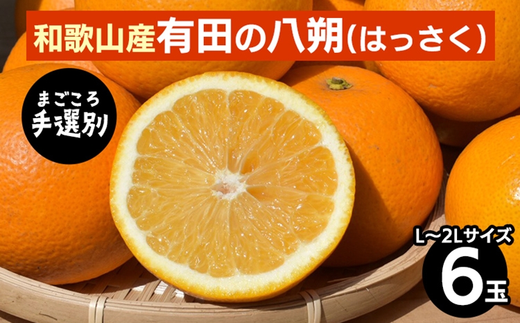 【和歌山県美浜町】【まごころ手選別】和歌山産有田のはっさく(6玉×1箱、L〜2Lサイズ) ※2026年1月上旬〜3月下旬頃に順次発送予定