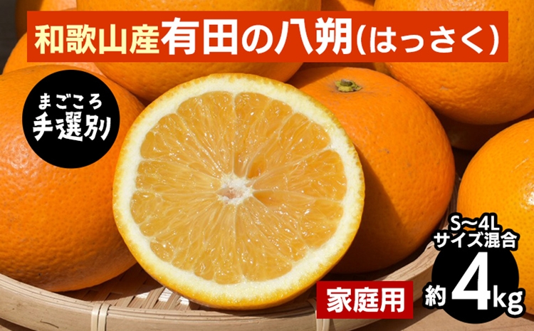 【まごころ手選別】有田の八朔(はっさく)約4kg(S～4Lサイズ混合)家庭用 ※2026年1月上旬～3月下旬頃に順次発送予定