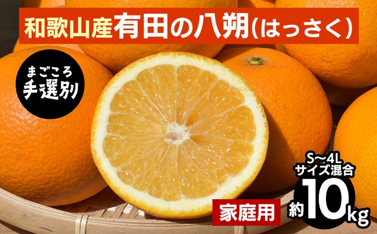 ya̎Rlzy܂IʁzLc̔(͂)10kg(S`4LTCY)ƒp 2026N1{`3{ɏ\