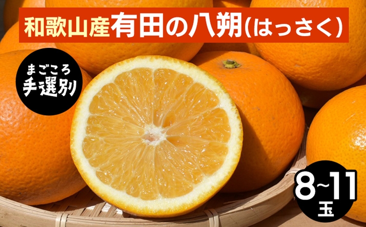 【和歌山県美浜町】【まごころ手選別】和歌山産有田のはっさく 8〜11玉 ※2026年1月上旬〜3月下旬頃に順次発送予定