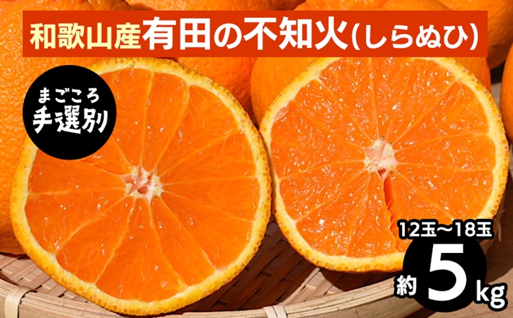 【和歌山県美浜町】【まごころ手選別】和歌山産 有田の不知火(しらぬひ)5kg(12玉〜18玉) ※2026年2月上旬〜4月下旬頃に順次発送予定