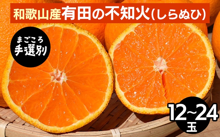 【まごころ手選別】和歌山産　有田の不知火(しらぬひ)12玉～24玉 ※2026年2月上旬～4月下旬頃に順次発送予定