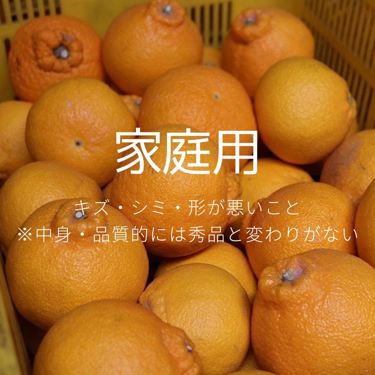 【まごころ手選別】和歌山産　有田の不知火(しらぬひ)約3kg(2S～4Lサイズ混合)【家庭用】 ※2026年2月上旬～4月下旬頃に順次発送予定