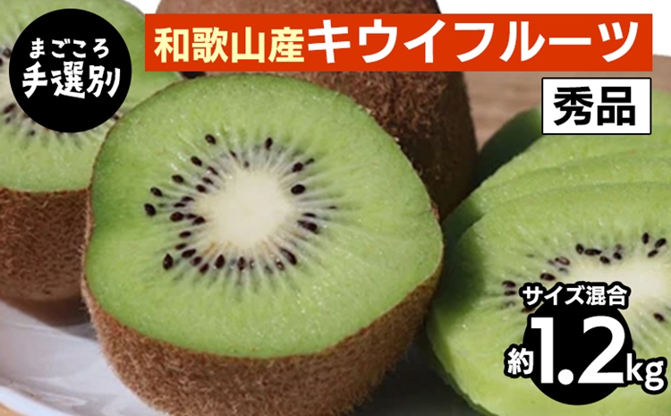 【まごころ手選別】和歌山産　キウイフルーツ　約1.2kg(サイズ混合)　秀品 ※2026年1月下旬～3月中旬頃に順次発送予定