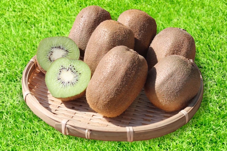 【まごころ手選別】和歌山産　キウイフルーツ　約1.2kg(サイズ混合)　秀品 ※2026年1月下旬～3月中旬頃に順次発送予定