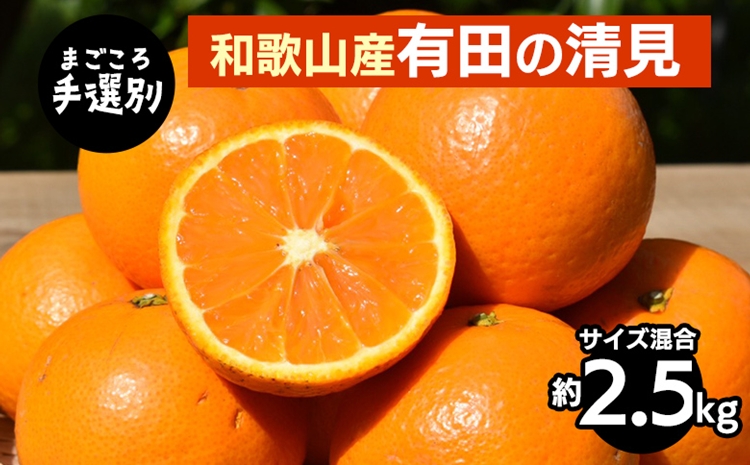 【まごころ手選別】和歌山産　有田の清見　約2.5kg(サイズ混合) ※2026年3月上旬～4月下旬頃に順次発送予定