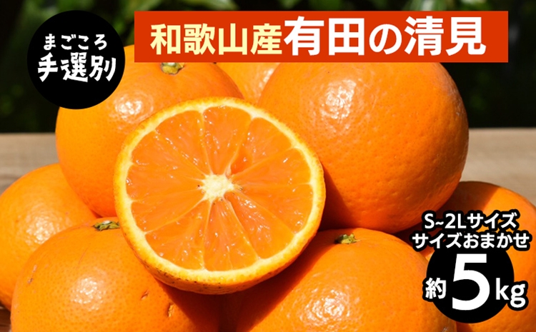 【まごころ手選別】和歌山産　有田の清見　5kg(S～2Lサイズ)サイズおまかせ ※2026年3月上旬～4月下旬頃に順次発送予定