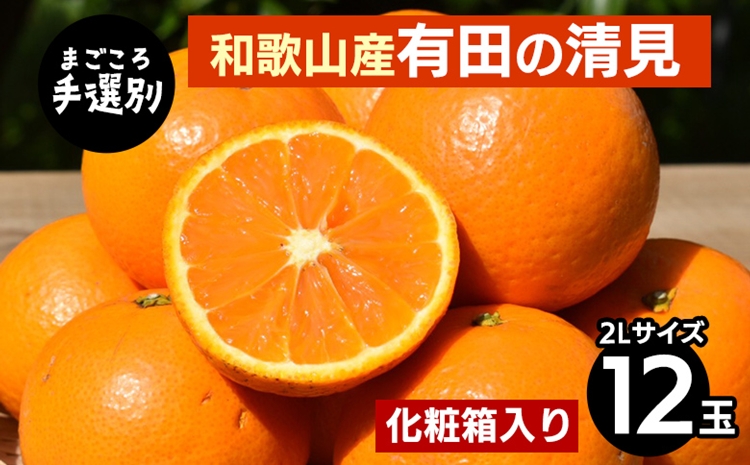 【まごころ手選別】和歌山産　有田の清見　化粧箱 2Lサイズ 12個入り ※2026年3月上旬～4月下旬頃に順次発送予定