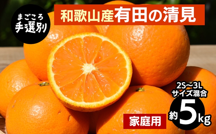 ya̎Rlzy܂Iʁza̎RY@Lc̐@5kg(2S`3LTCY)yƒpz 2026N3{`4{ɏ\