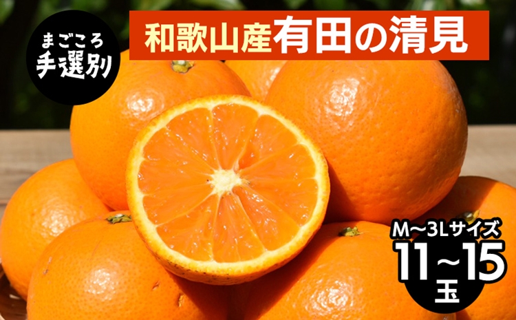 【まごころ手選別】和歌山産　有田の清見　11玉～15玉(M～3Lサイズ) ※2026年3月上旬～4月下旬頃に順次発送予定