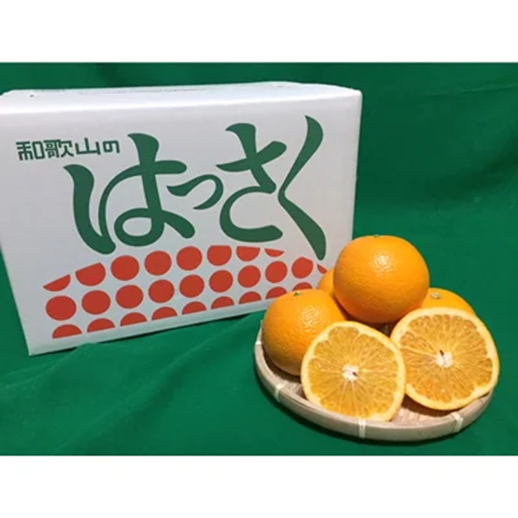 【まごころ手選別】有田のはっさく【八朔】約10kg　S～Mサイズ ※2026年1月上旬～3月下旬頃に順次発送予定