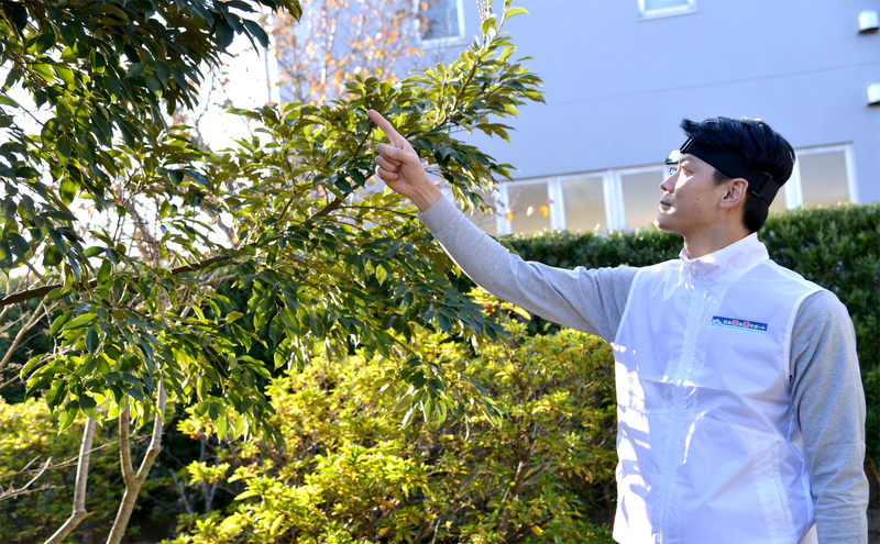 【お試し3ヶ月】空き家管理サービス（ライトプラン）