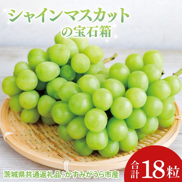 y錧qzys\zyΕzVC}XJbg̕Δ18i錧ʕԗiF݂sj|v[g  蕨 Ԃǂ  uhE }XJbg 錧 qiCD189j