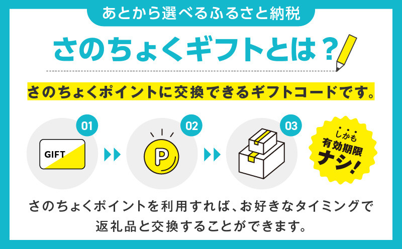大阪府泉佐野市のふるさと納税 【有効期限なし】 あとから選べる 泉佐野ふるさとギフト（寄附1,000円コース）【3000品以上掲載 高評価 カタログ 肉  牛たん ビール  かに サーモン 野菜 定期便 おせち タオル ティッシュ あとからセレクト カタログギフト】 sn020
